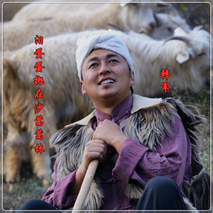 泪蛋蛋抛在沙蒿蒿林