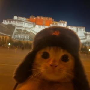 GOTTA GO (feat. DMX, O.T. Genasis & Bobby Shmurda)