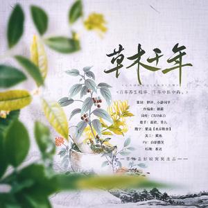 ◆草木千年◆中国非遗文化系列企划°中药°