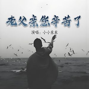 老父亲您辛苦了