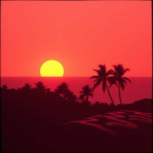 🌅VDM 🌞🎶