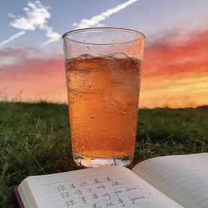 我们本是平行线