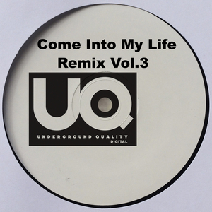Come Into My Life (Remix)