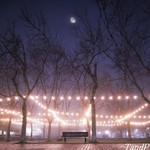 Starry Night Lullaby