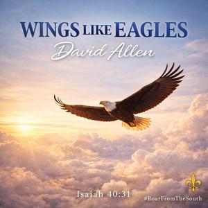 Wings Like Eagles