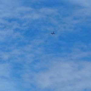 平行线的呐喊_34856563016857608_1755266414814