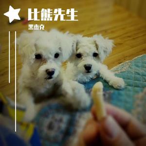 比熊先生-Cubase版