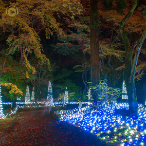 Mermaid_s Bubble (xmas version)