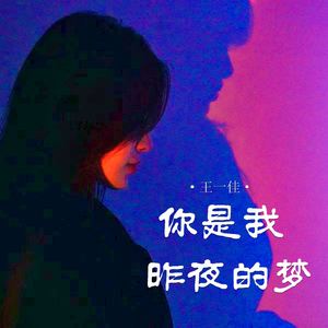 你是我昨夜的梦 (合唱版)