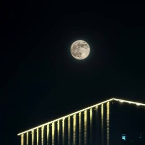 너의 의미（你的意义）