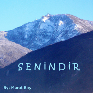 Senindir
