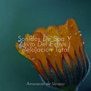 Absorción etérea