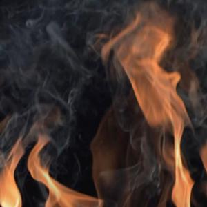 Bass Night Instrumental