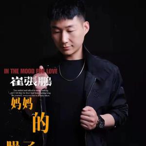 妈妈的臊子面