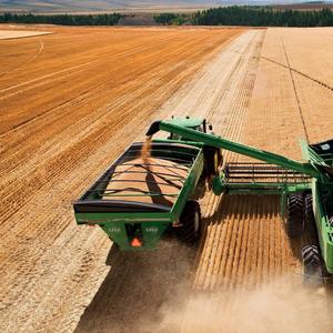 Combine or a cruiseship
