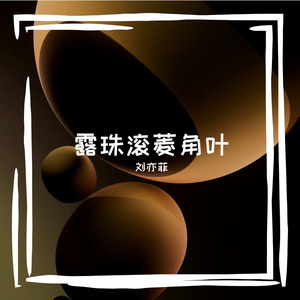 露珠滚菱角叶