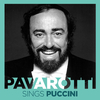 Luciano Pavarotti - Turandot, SC 91, Act III:Nessun dorma!