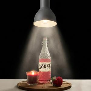 Sober