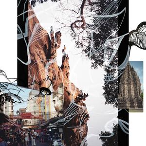 Falling into the Sunrise