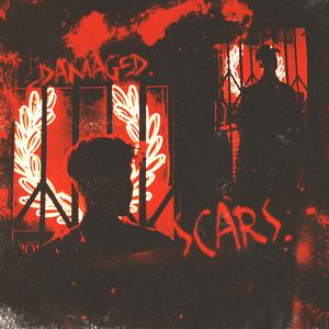 Scars