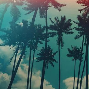 我有孤独和烈酒