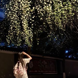 去有风的地方 MMM_2