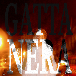 gatta nera