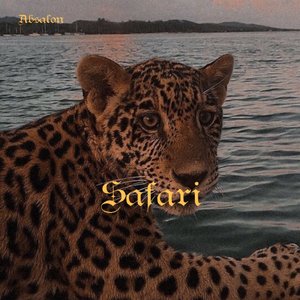 Safari