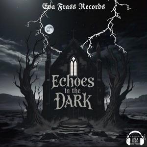 Echoes In The Dark
