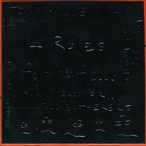 You Can't Try and Improve Things or Criticize, Unless You're Perfect (So, Never Then)