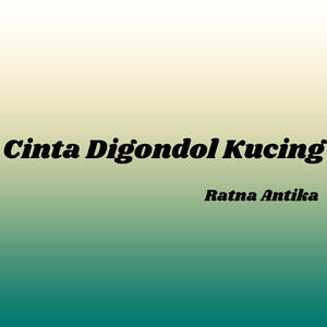 Cinta Digondol Kucing