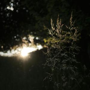 nitafanyaje ~ one take ambient
