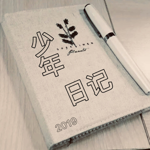 她说的都是骗人的（Demo）