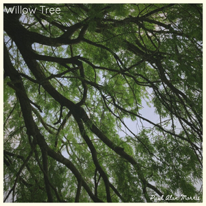 Willow Tree