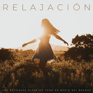 Sonidos Reconfortantes