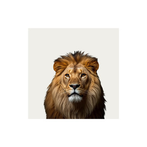 “És Sporting És Paixão”