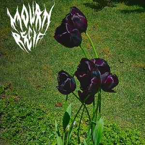 Slow Reign