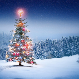 별빛을 따라 걷다