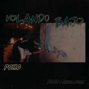 Pollo (Volando bajo)