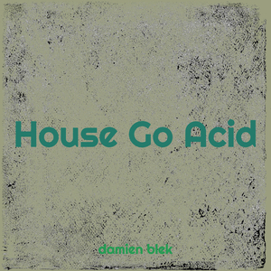House Go Acid