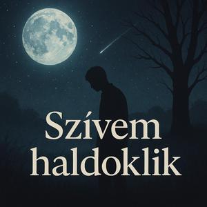 Szívem haldoklik-A fájdalom és remény dala (Official Audio with Original Lyrics of AI Factory)