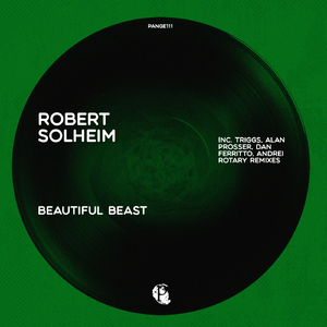 Beautiful Beast (Dan Ferritto Remix)