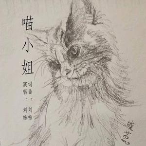喵小姐