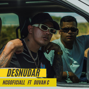 Desnudar