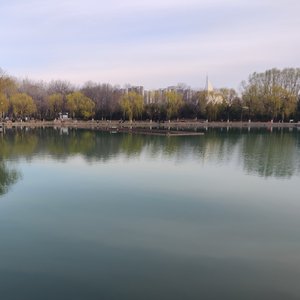 我的孤单刚好需要你的喧闹填满