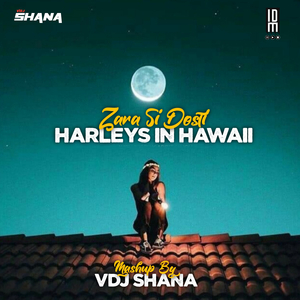 Harleys In Hawaii X Zara Si Dosti (Lofi Mix)