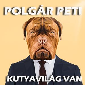 Kutyavilág van