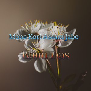 Mone Kori Assam Jabo