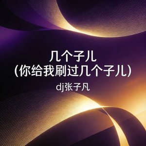 几个子儿(你给我刷过几个子儿)