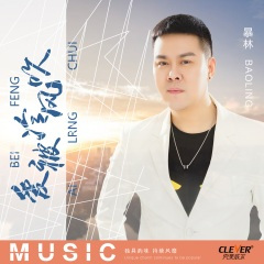 爱被冷风吹 (DJ版)